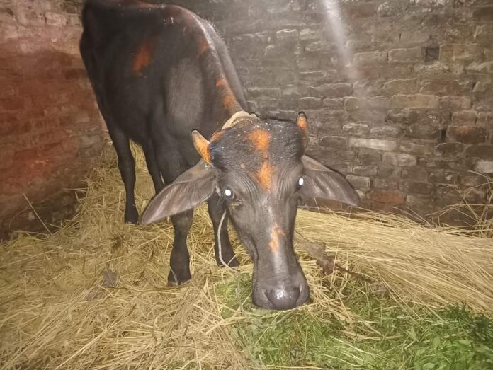 FB_IMG_1697961383926