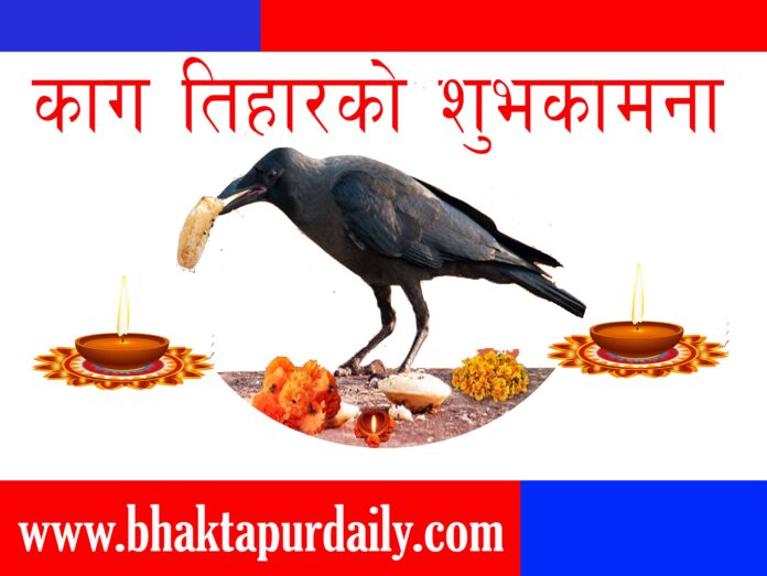 काग तिहार