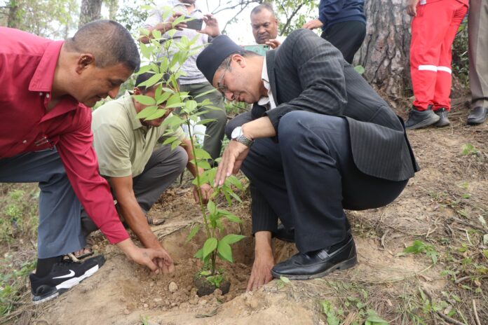 460624843_898219212360879_4015090230673626584_n