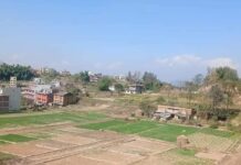 चाँगुनारायणको गजबको अनुरोध, जग्गा जमिन बाँझो राख्न नपाइने