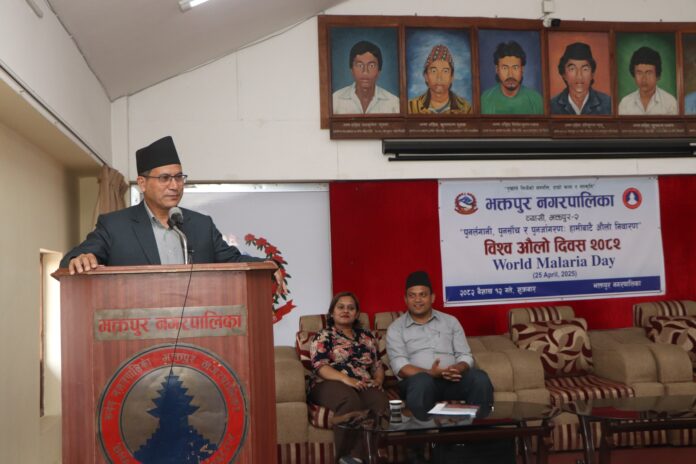 493989074_1054915346691264_4111067885033107903_n