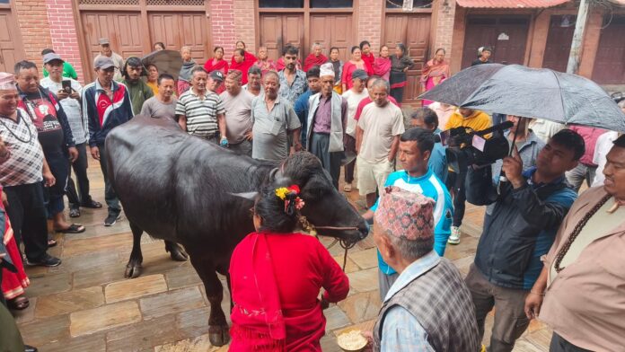 FB_IMG_1753747421044