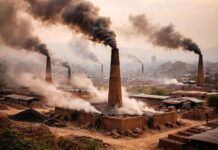 भक्तपुरमा रहेका इँटा भट्टाहरूले स्थानीय स्तरमा पारेका समस्या र समाधानका उपायहरू